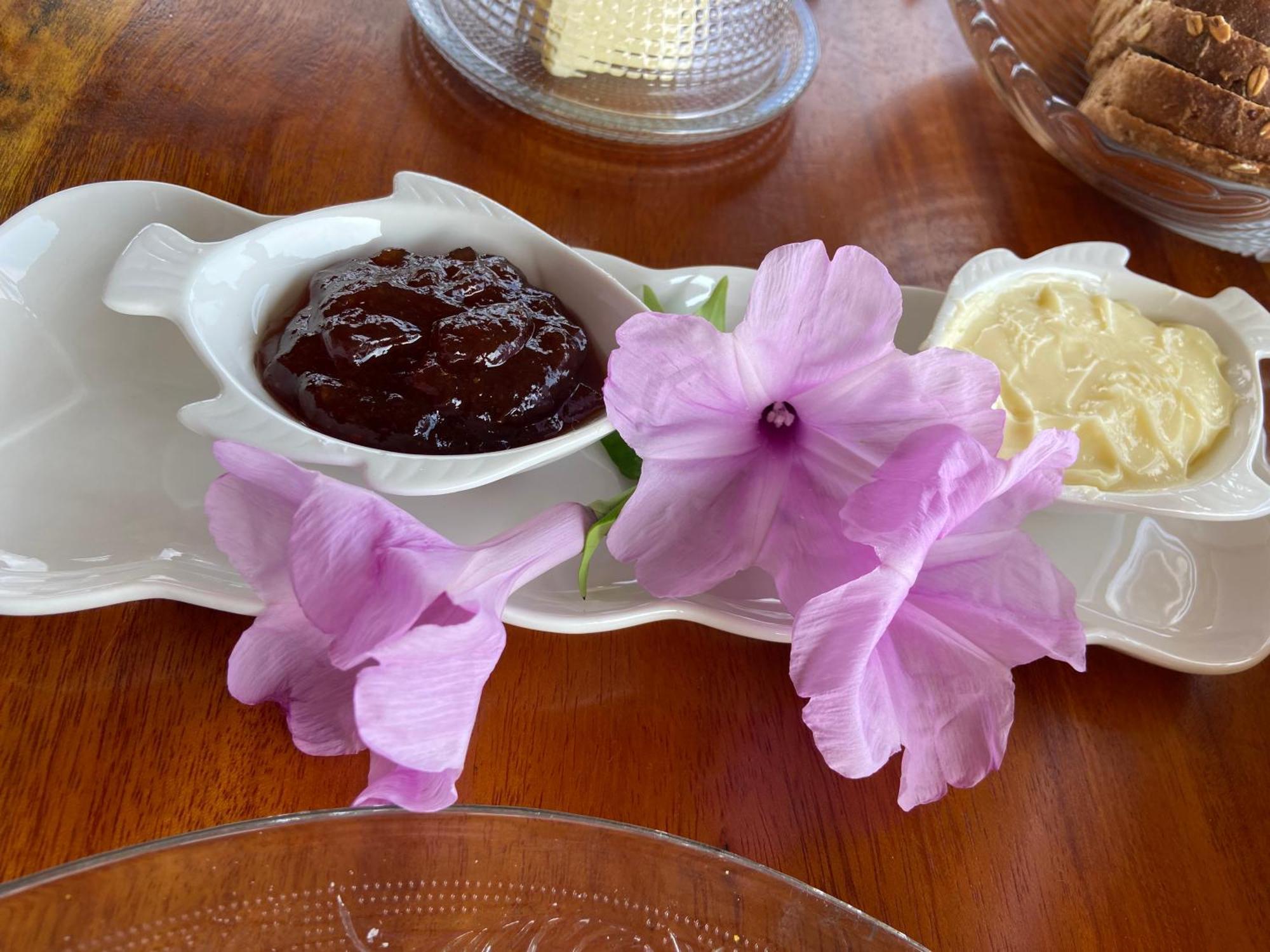 Aponem Spa & Pousada Corumbau Dış mekan fotoğraf
